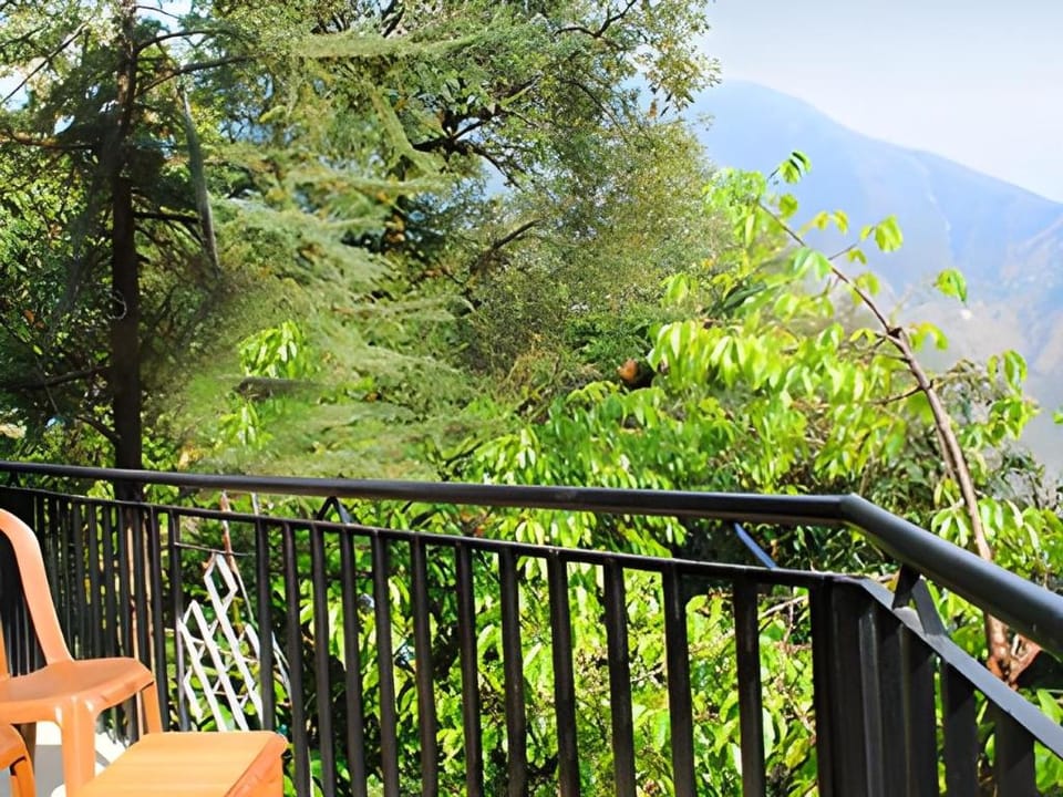 Hotel Mistywoods Hotel in Punjab, India