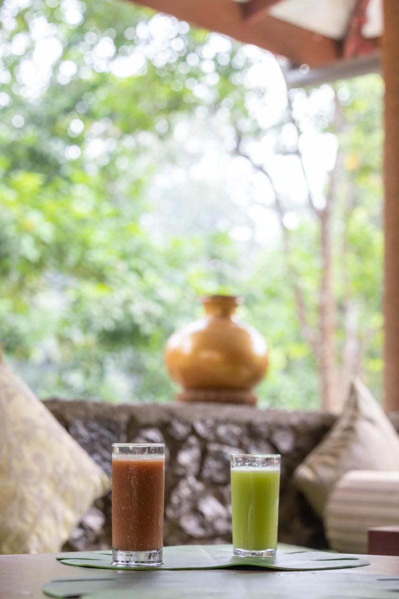 Kuru Ganga Villa Bed and Breakfast in Sri Lanka