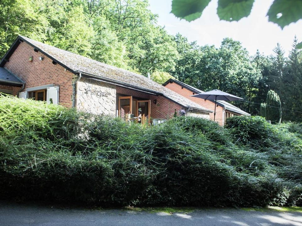 Durbuy Forest Villa with Pool Villa in Wallonia, Belgium