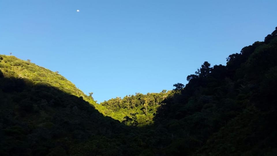 Dantica Cloud Forest Lodge Bed and Breakfast in Cartago Province, Costa Rica