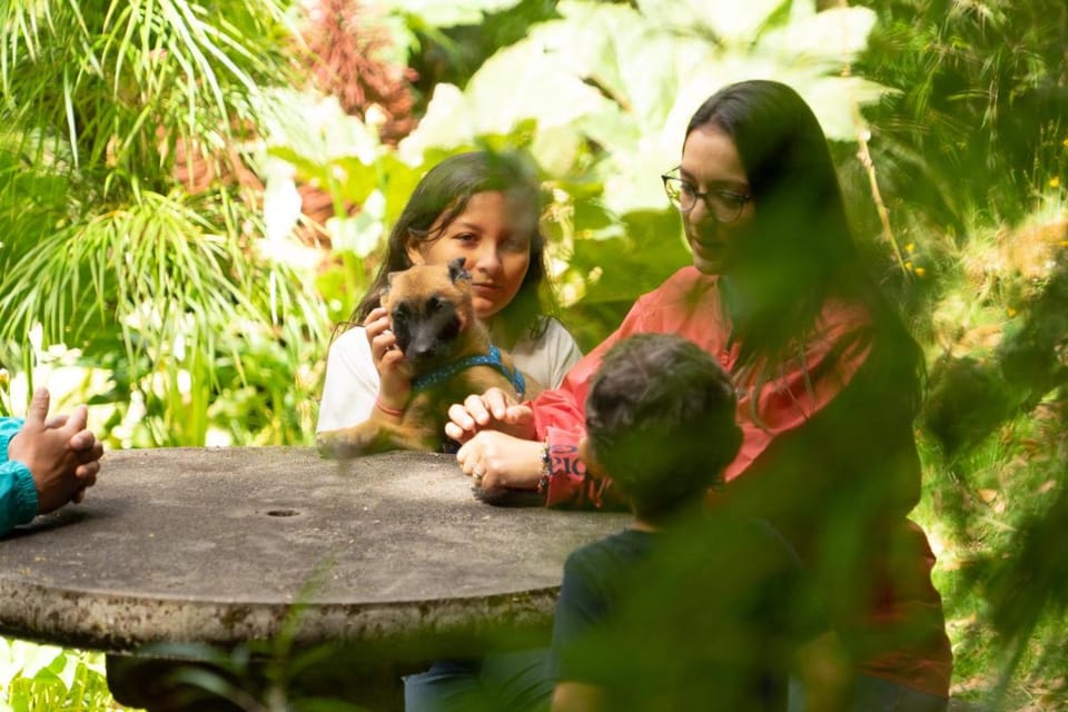 Dantica Cloud Forest Lodge Bed and Breakfast in Cartago Province, Costa Rica