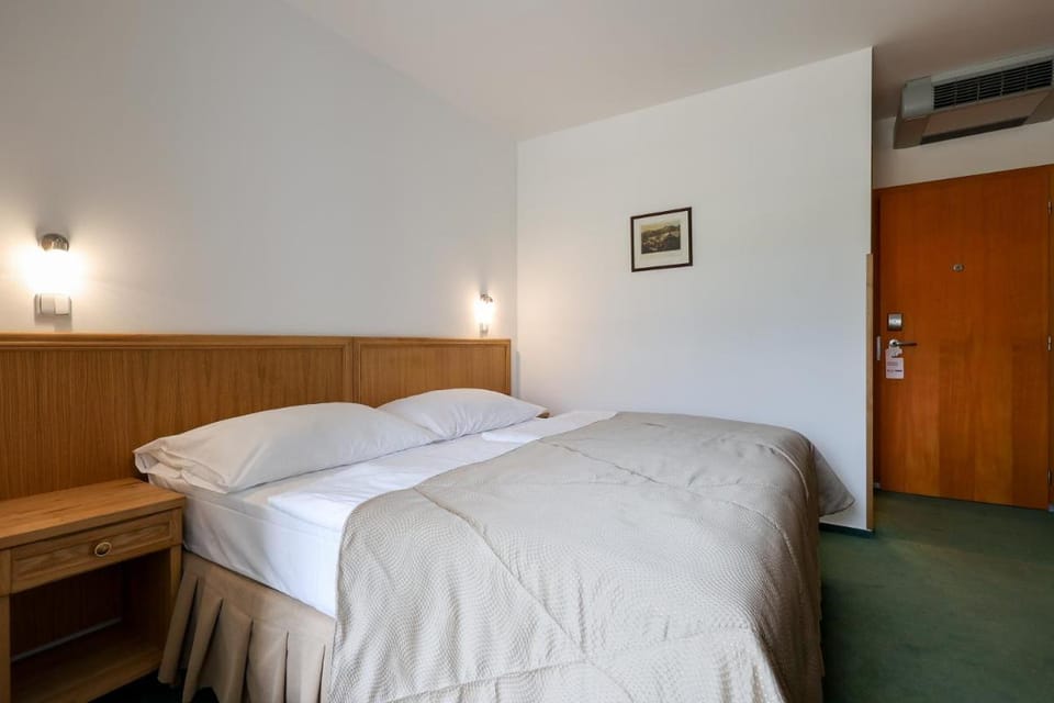 Hotel Mlyn Hotel in Cesky Krumlov