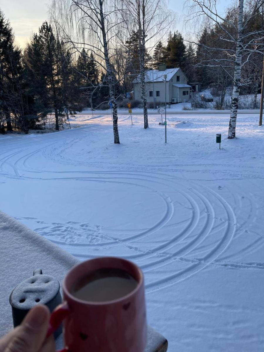 Majatalo Villanen Bed and Breakfast in Finland