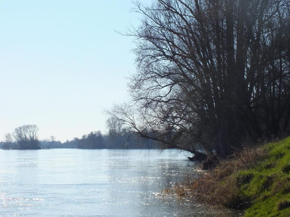 A la Fleur de Lys Bed and Breakfast in Centre-Val de Loire