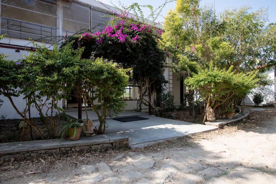 Dhole's Den Bandipur Farm Stay in Karnataka