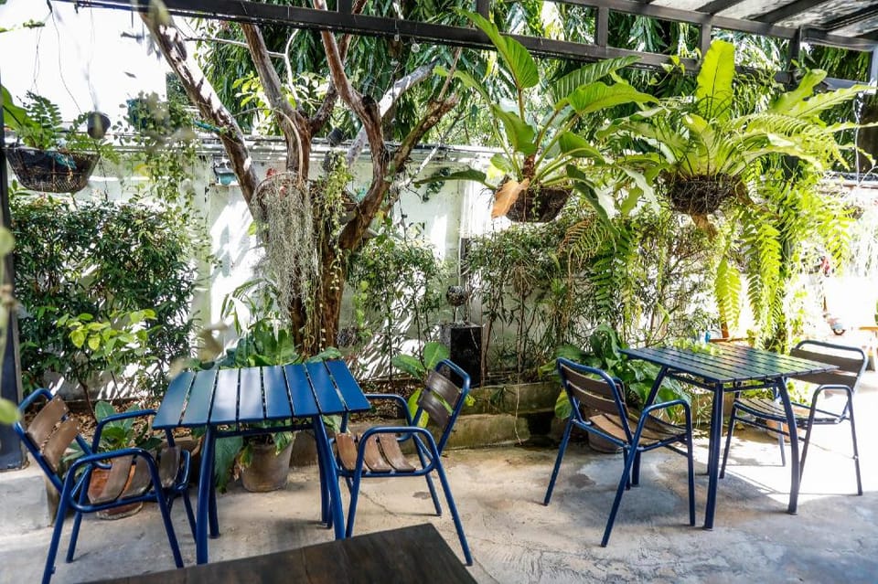 Sleep Guesthouse Bed and Breakfast in Chiang Mai