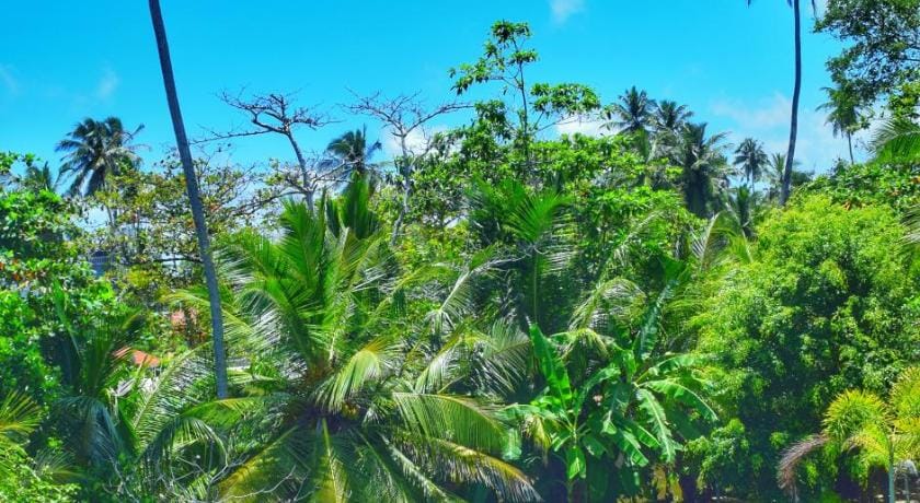 Villa Dineha Bed and Breakfast in Hikkaduwa