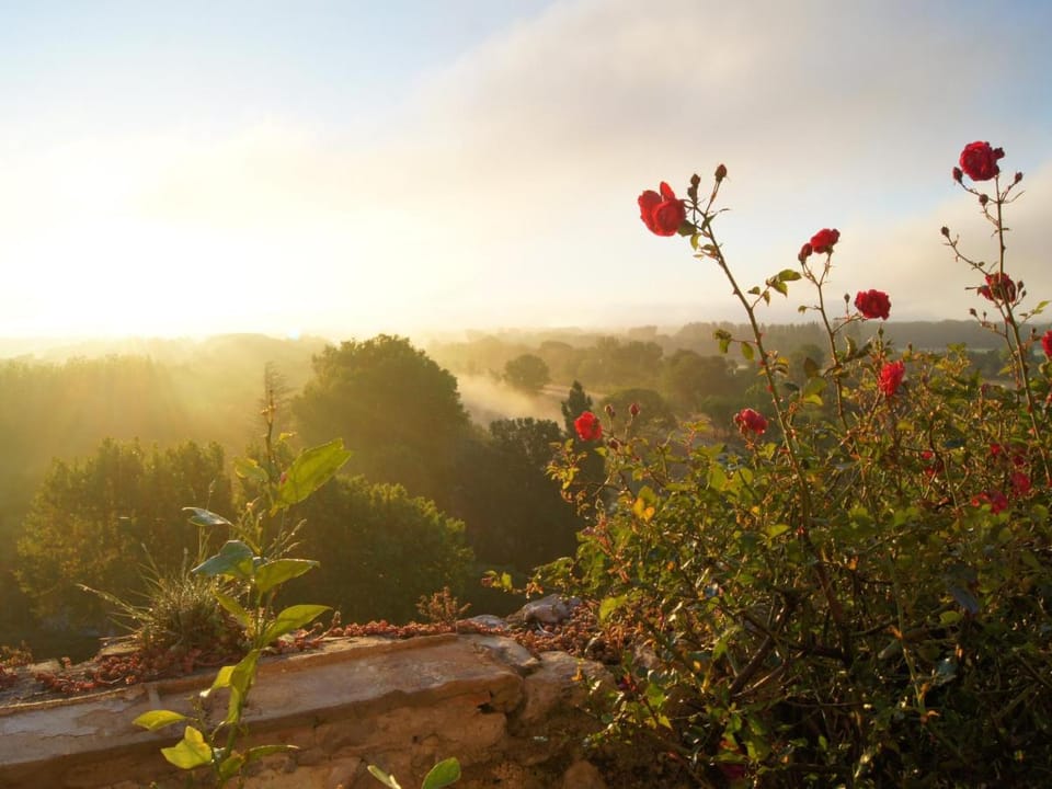 Maison Orsini Bed and Breakfast in Villeneuve-lès-Avignon