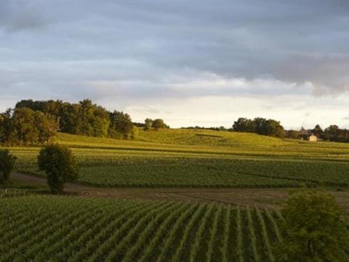 Château la Rose Perriere Bed and Breakfast in Occitanie