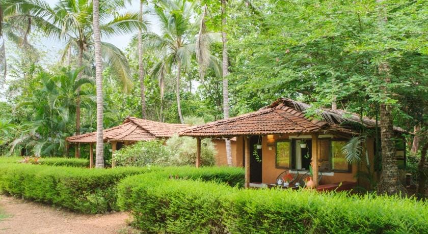 Natures Nest Resort Hotel in Goa, India