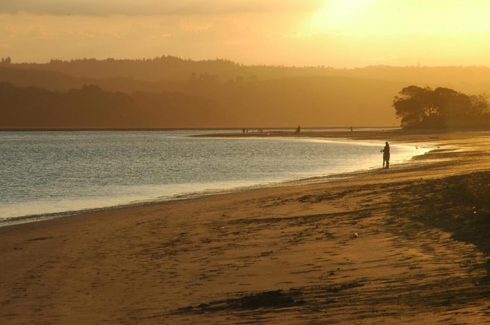 Moanarua Beach Cottage Bed and Breakfast in Bay Of Plenty