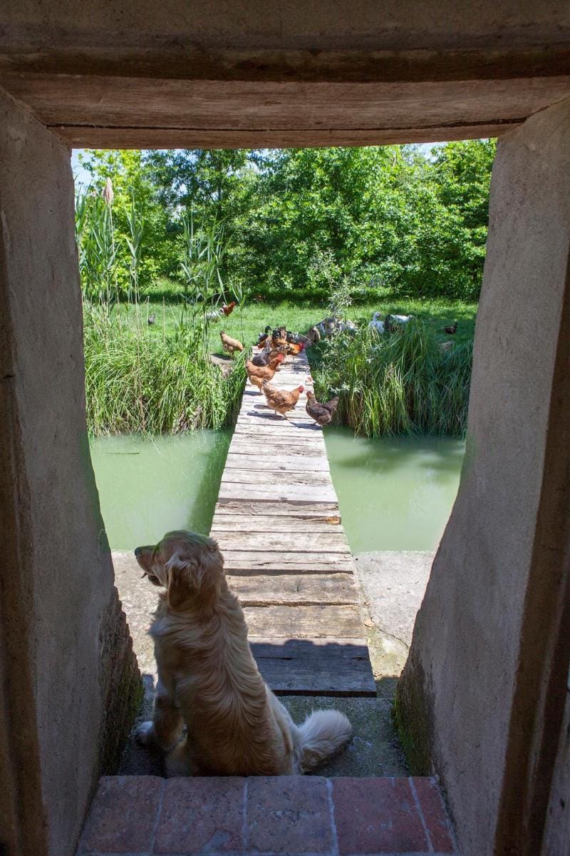 Corte Mainolda Farm Stay in Lombardy