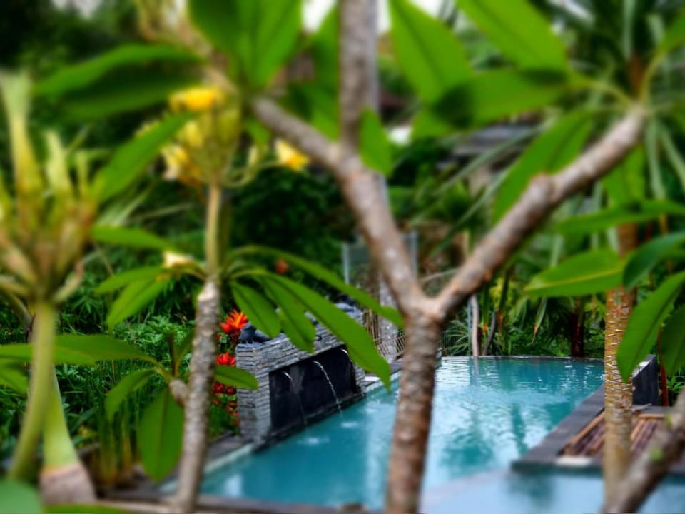 Desak Putu Putera Hidden Home Stay Bed and Breakfast in Ubud