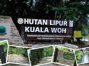 Soufia Sungkai Residence Vacation rental in Perak