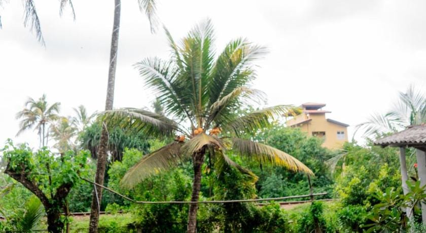 Asanka Surf House Hotel in Southern Province