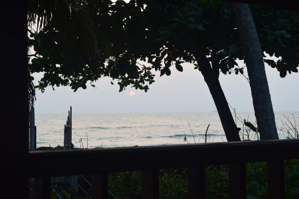Sea Hut Homestay Vacation rental in Kochi