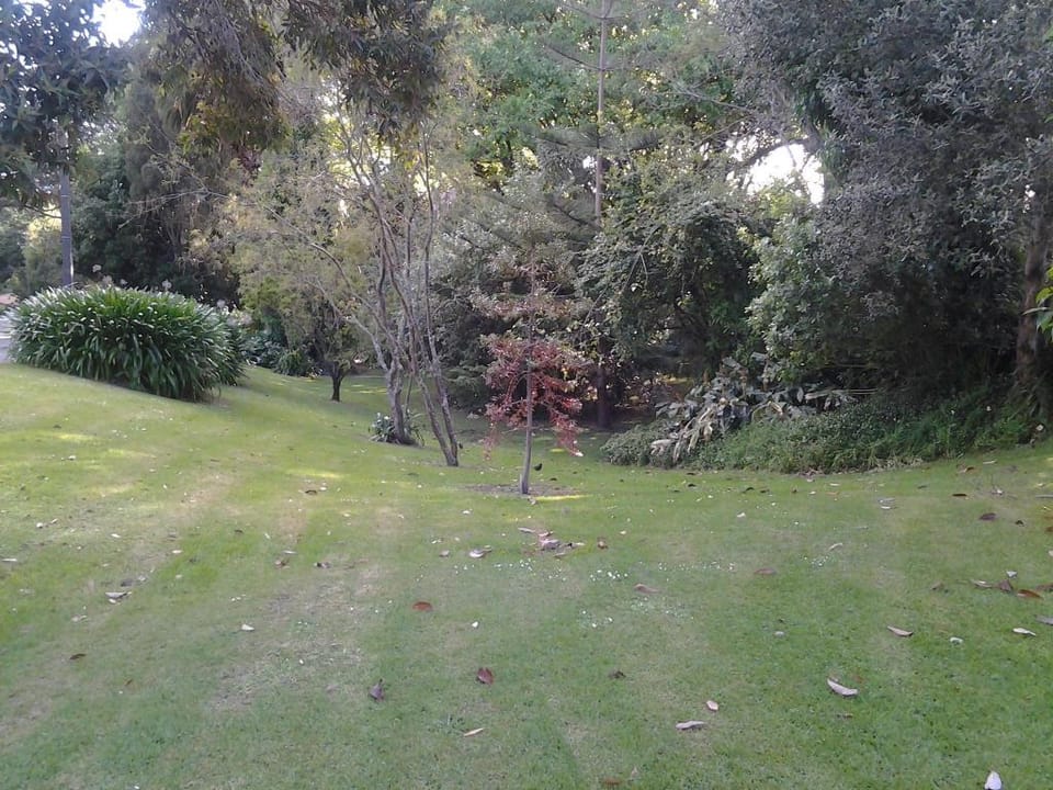 Hikurangi Stay Place Hotel in Whanganui