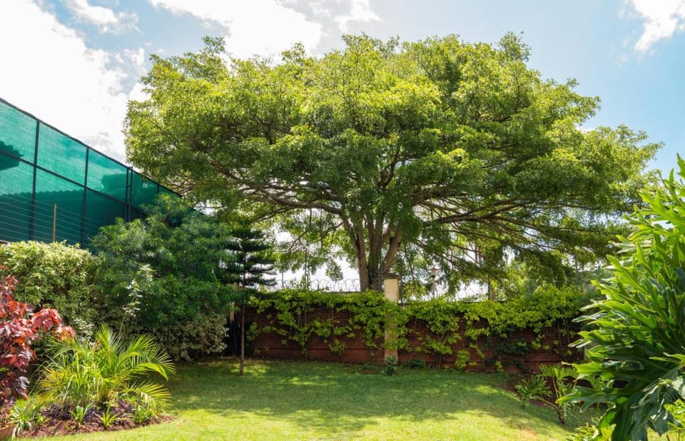dreamplace Gigiri Bed and Breakfast in Nairobi