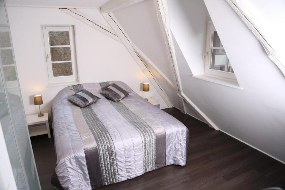 My Sweet Homes - La Grenouillère HYPERCENTRE Apartment in Colmar