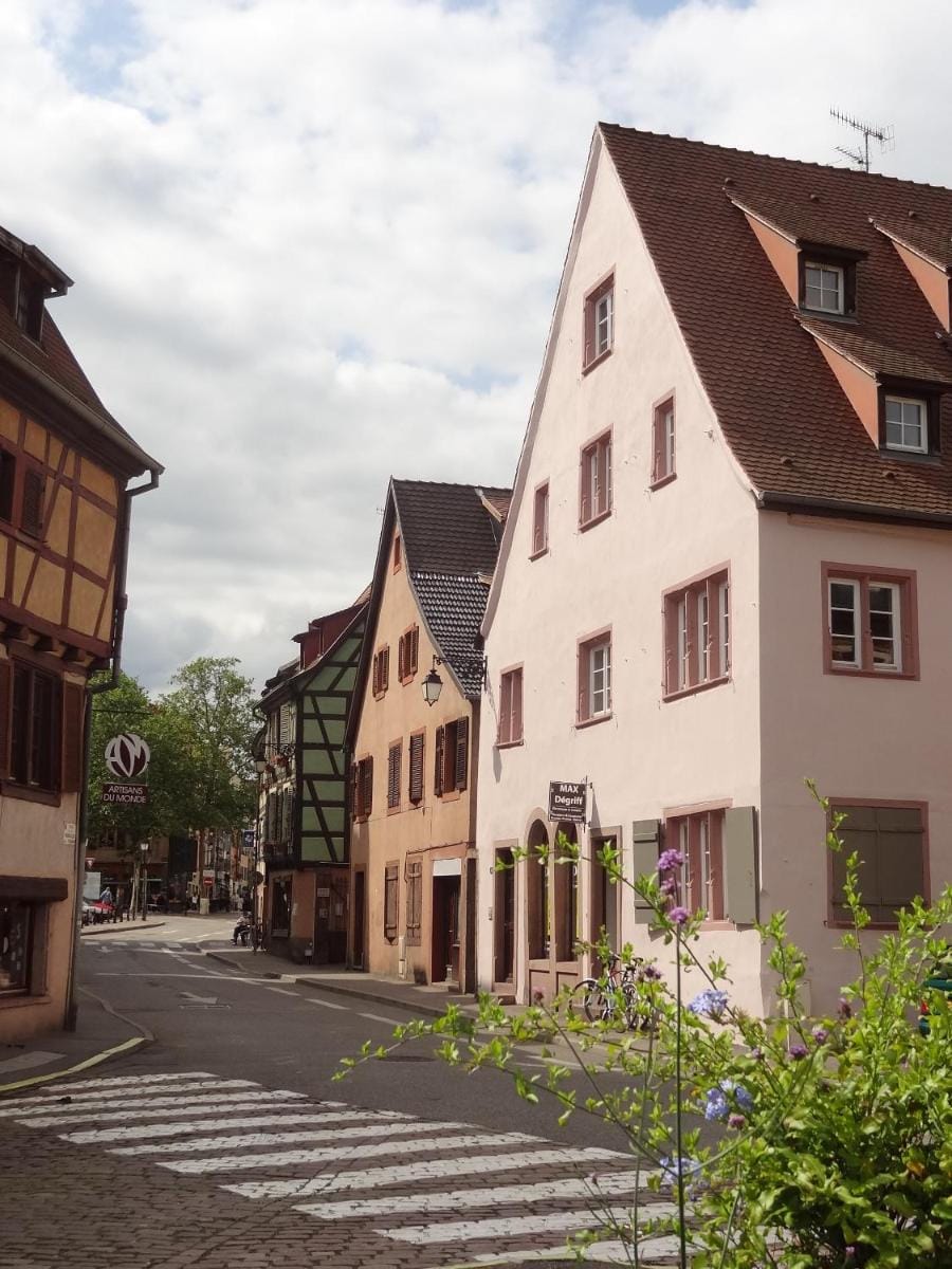 My Sweet Homes - La Grenouillère HYPERCENTRE Apartment in Colmar
