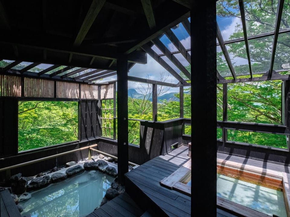 Ryokan Hanagokoro Hotel in Hakone