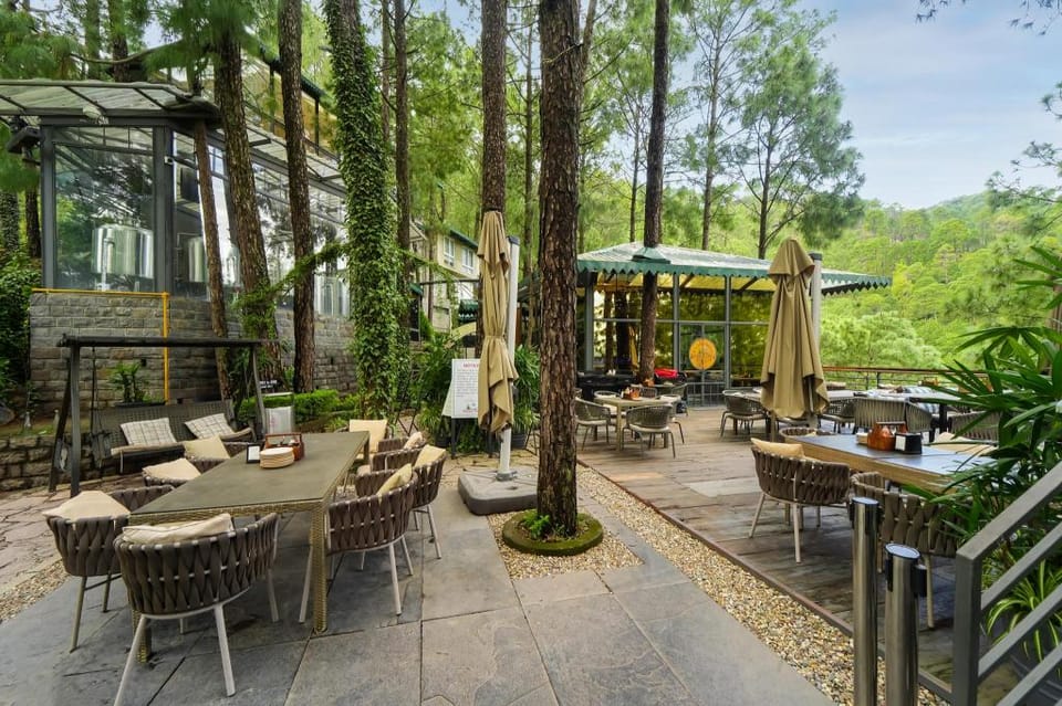 Kasauli Hills Resorts Resort in Himachal Pradesh