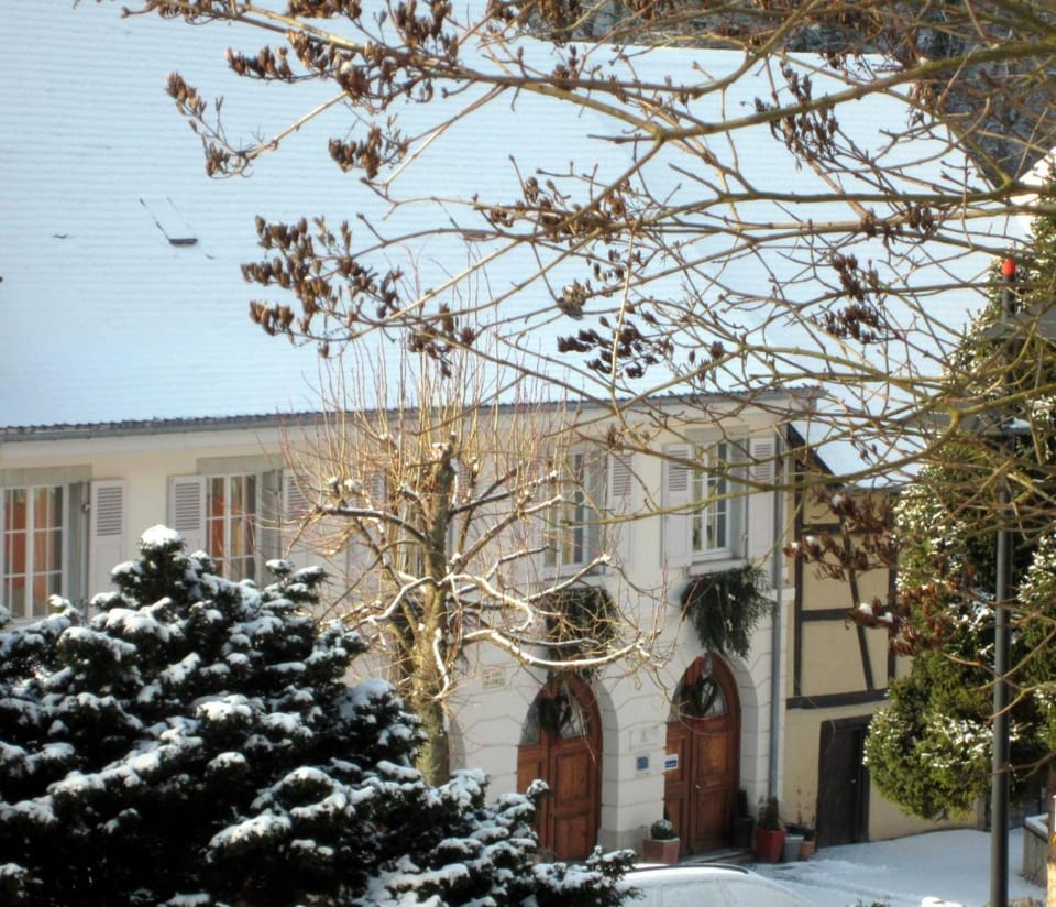 La Maison des Fontaines d'Alsace Apartment in Switzerland