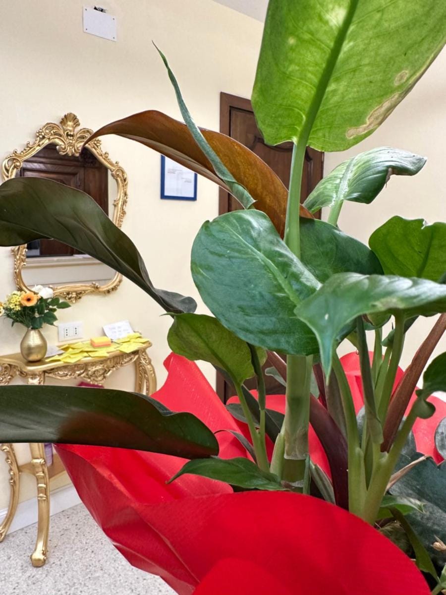 Guest House Train Station Bed and Breakfast in Venice