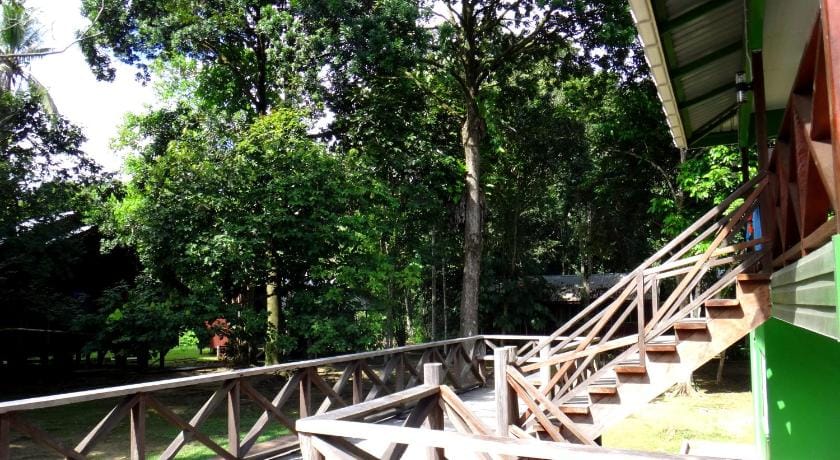 Sukau Greenview Bed and Breakfast Bed and Breakfast in Sabah