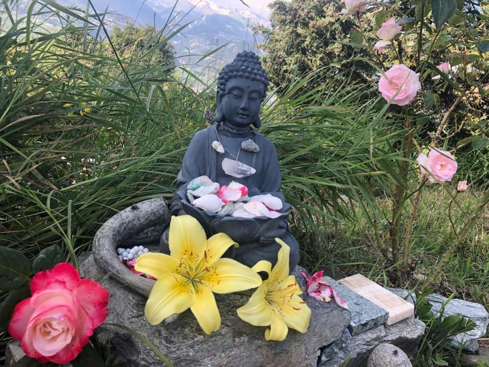 Domaine Bellevie BnB Bed and Breakfast in Sion