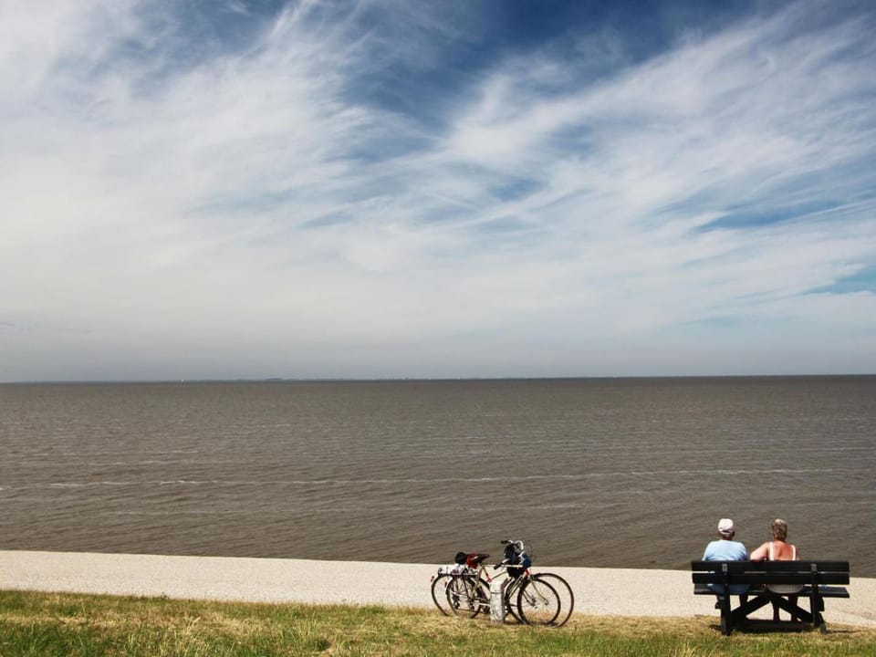 Villa in Wieringer Style with Hot Tub Villa in Hippolytushoef