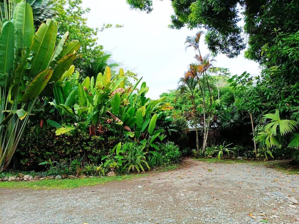 La Diosa Nature Lodge Bed and Breakfast in Costa Rica