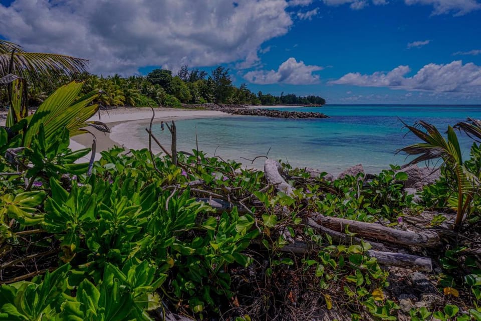 Anse Kerlan Beach Chalets Bed and Breakfast in Africa