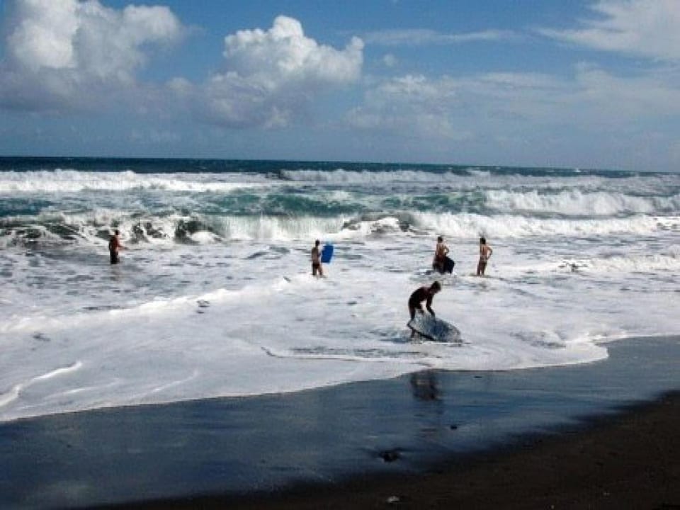 Dargaville Holiday Park Hotel in Northland