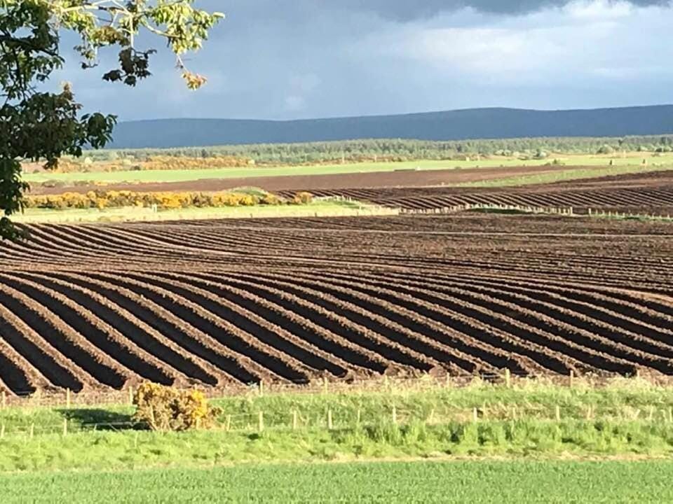 Broomlea Bed and Breakfast in Scotland
