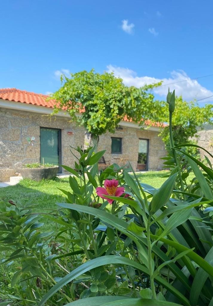 Hotel Quinta da Tulha By VimaHotels Hotel in Guimaraes