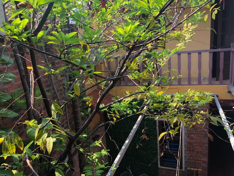 Nha Lan Homestay Vacation rental in Hoi An