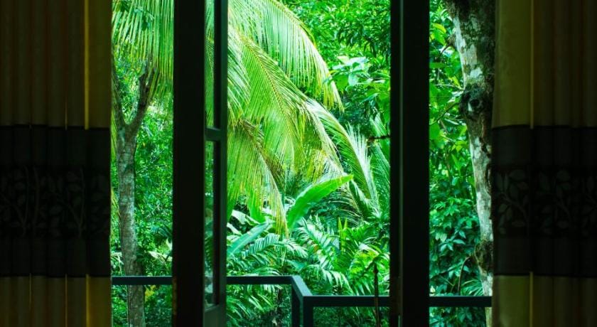 Eco Villa - Sinharaja Bed and Breakfast in Southern Province