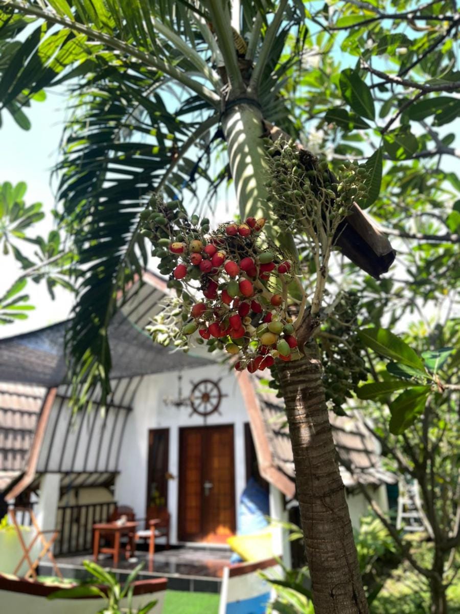 Mustika Ocean Lodge Campground/ 
RV Resort in Pemenang