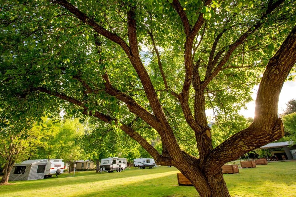 Discovery Parks - Bright Campground/ 
RV Resort in Bright