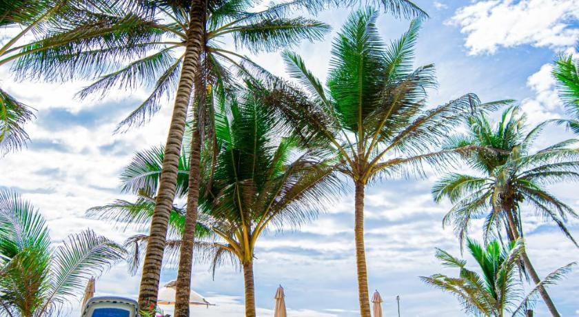 Nico Beach Hotel Hotel in Hikkaduwa