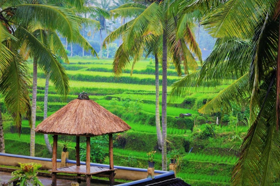 Junjungan Suite Campground/ 
RV Resort in Ubud