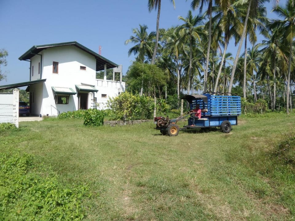 cocoworld bungalow Hotel in Sri Lanka