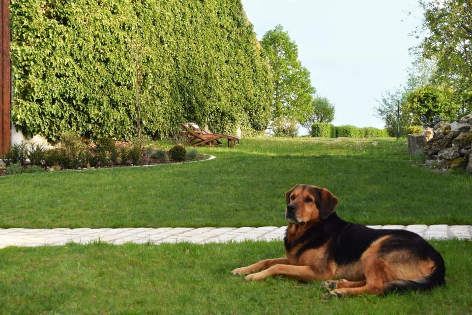 Au Pré du Moulin Bed and Breakfast in Grand Est