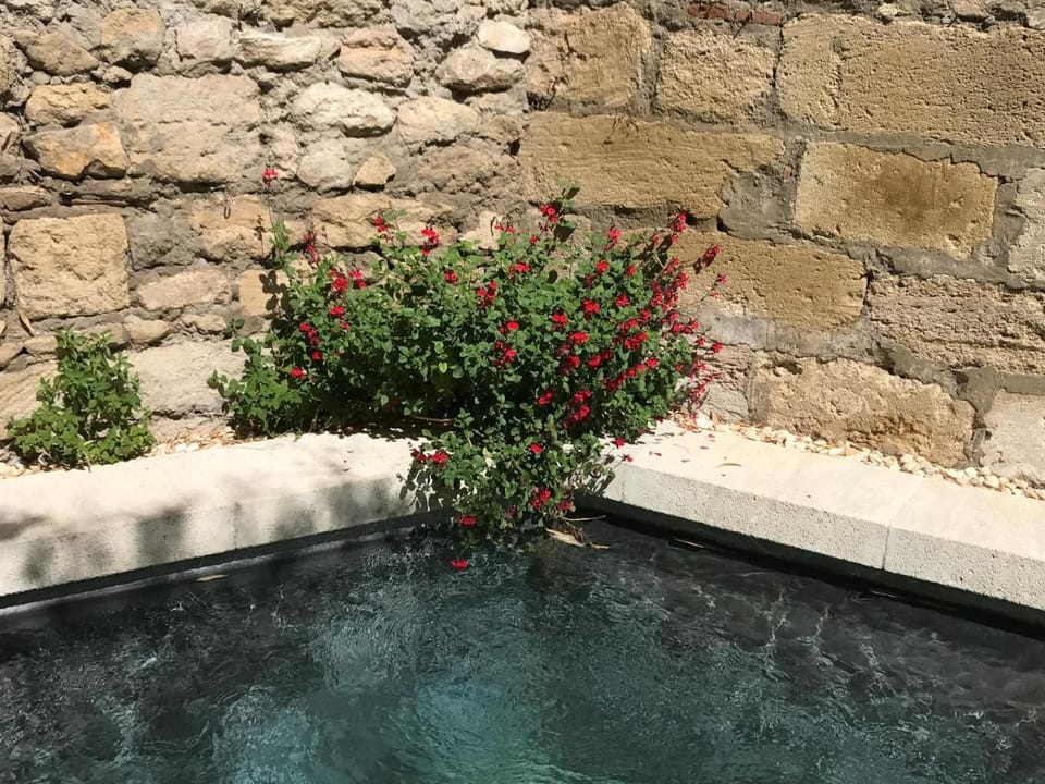 N15 - Les Confidences - Chambres d'hôtes Bed and Breakfast in Avignon