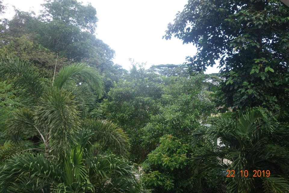 Forest Lodge Bed and Breakfast in Africa