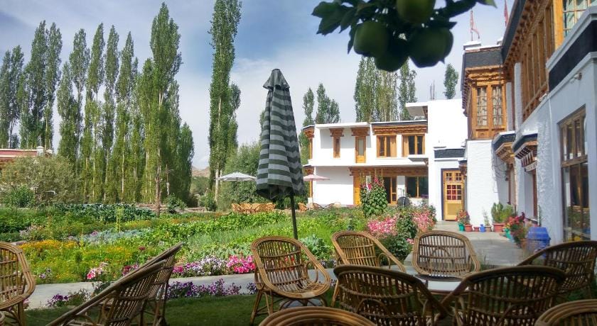 Shaolin Ladakh Hotel in India