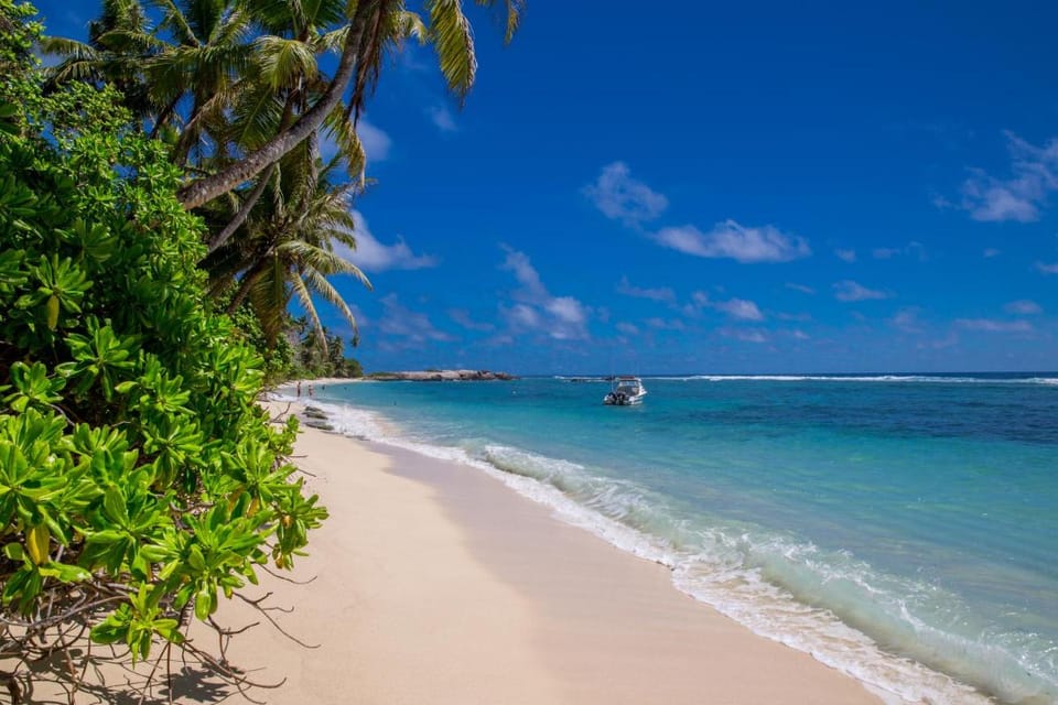 Chalets d'Anse Forbans SelfCatering Chalet in Africa