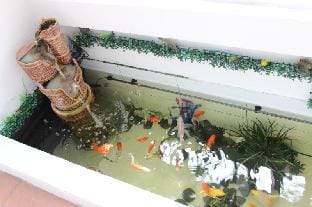 Nautilus Bay Home Inn Vacation rental in George Town