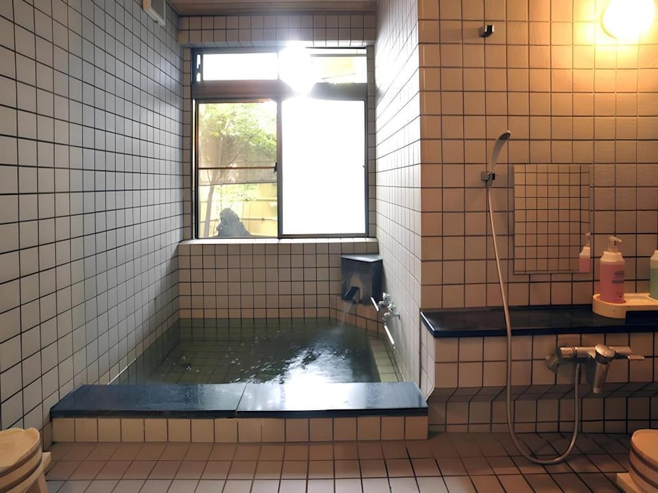 Ryokan Seifuso Ryokan in Nagano Prefecture